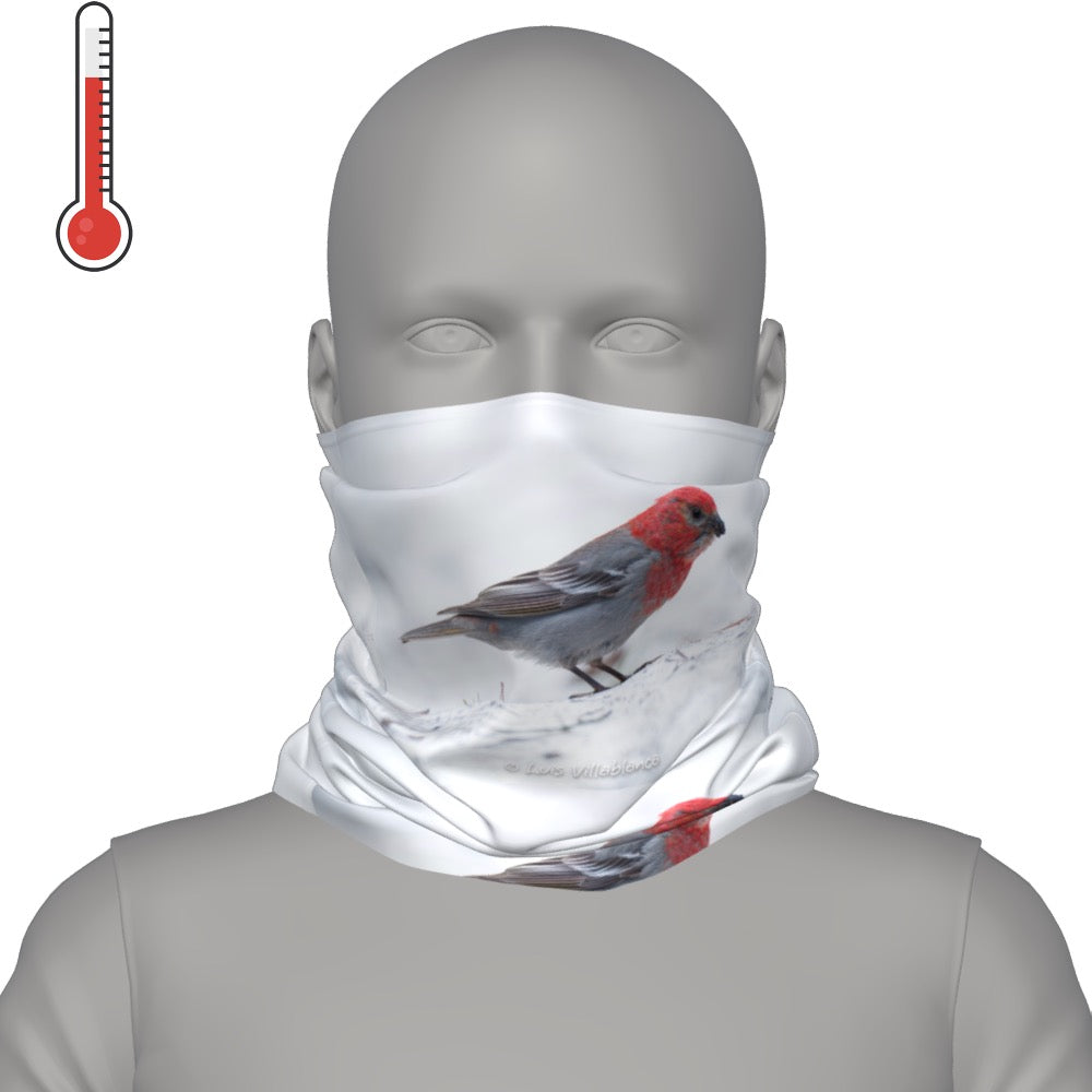Deco Neck Gaiter