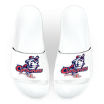 Cyclones Baseball Slides