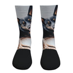 Deco Socks