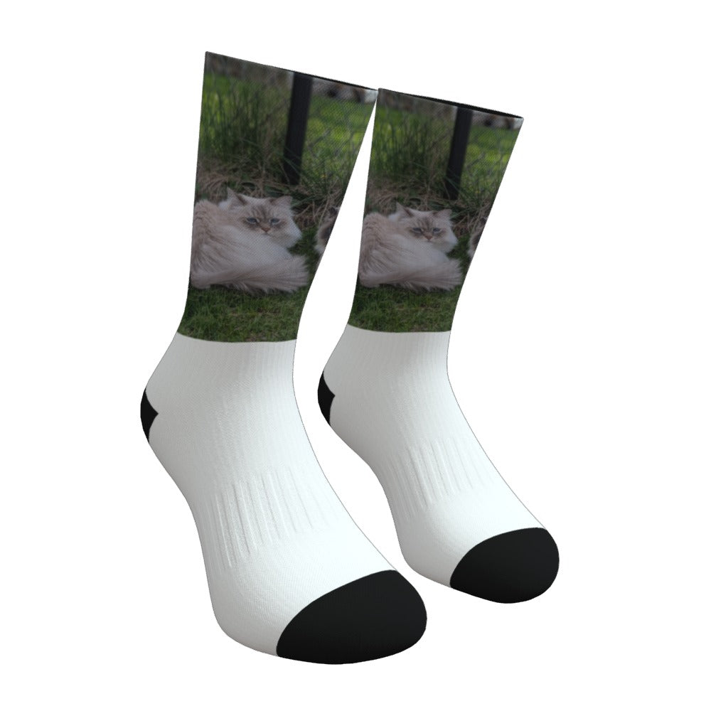 Deco Socks