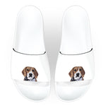 Deco Slides