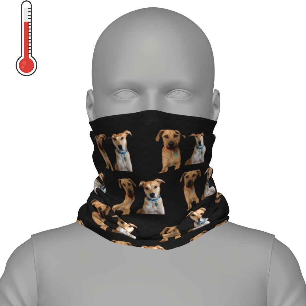 Deco Neck Gaiter