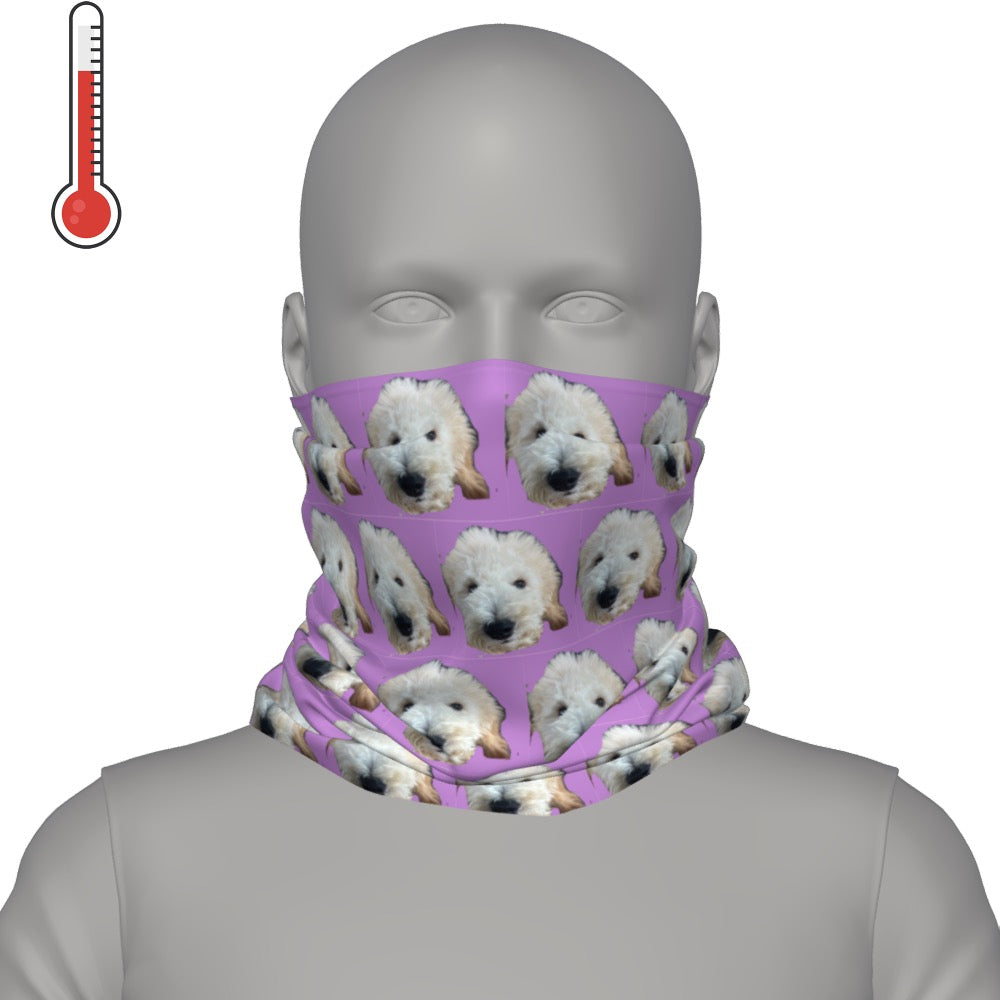 Deco Neck Gaiter Mask