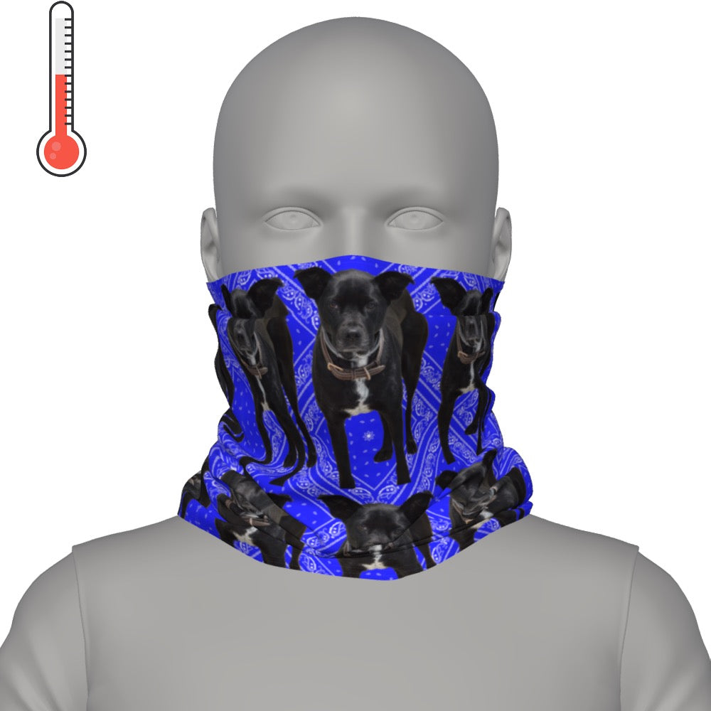 Deco Neck Gaiter
