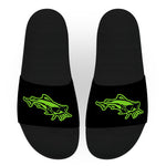 Cumberland Hill Catfish Swim Team Slides