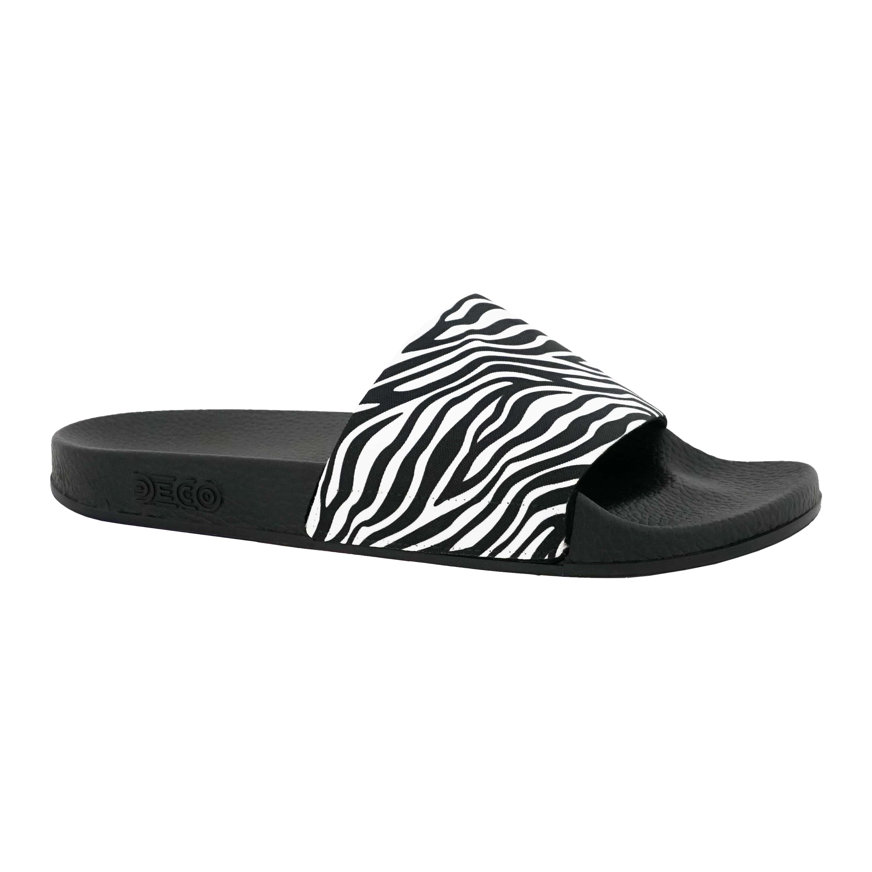 Zebra Safari Slides